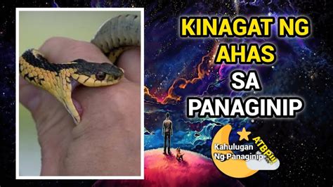 kinagat ng ahas sa kaliwang kamay sa panaginip|Interpretasyon ng nakakakita ng ahas sa isang panaginip ni Ibn .